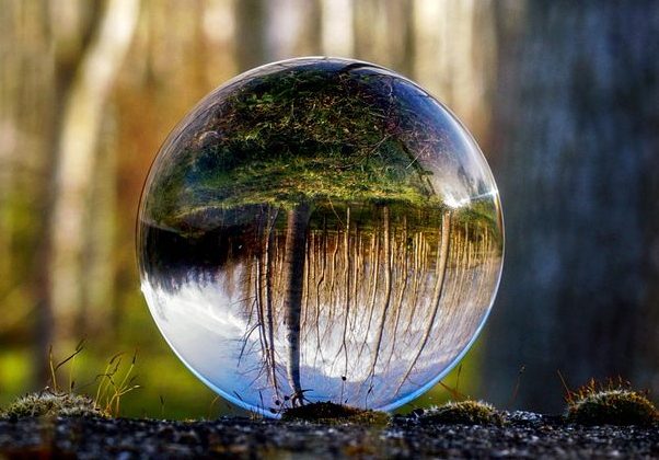 glass sphere, forest, trees, nature, landscape, spiritual, balance, meditation, zen, lens ball, creative, spiritual, meditation, meditation, meditation, meditation, meditation